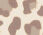 Alluring Leopard Oblong Scarf