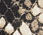 Jacquard Ankle Pant - Butterfly