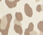 Straight Ankle Jeans - Alluring Leopard