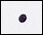 UPF 50 Pique Sleeveless Polo - Mini Dot